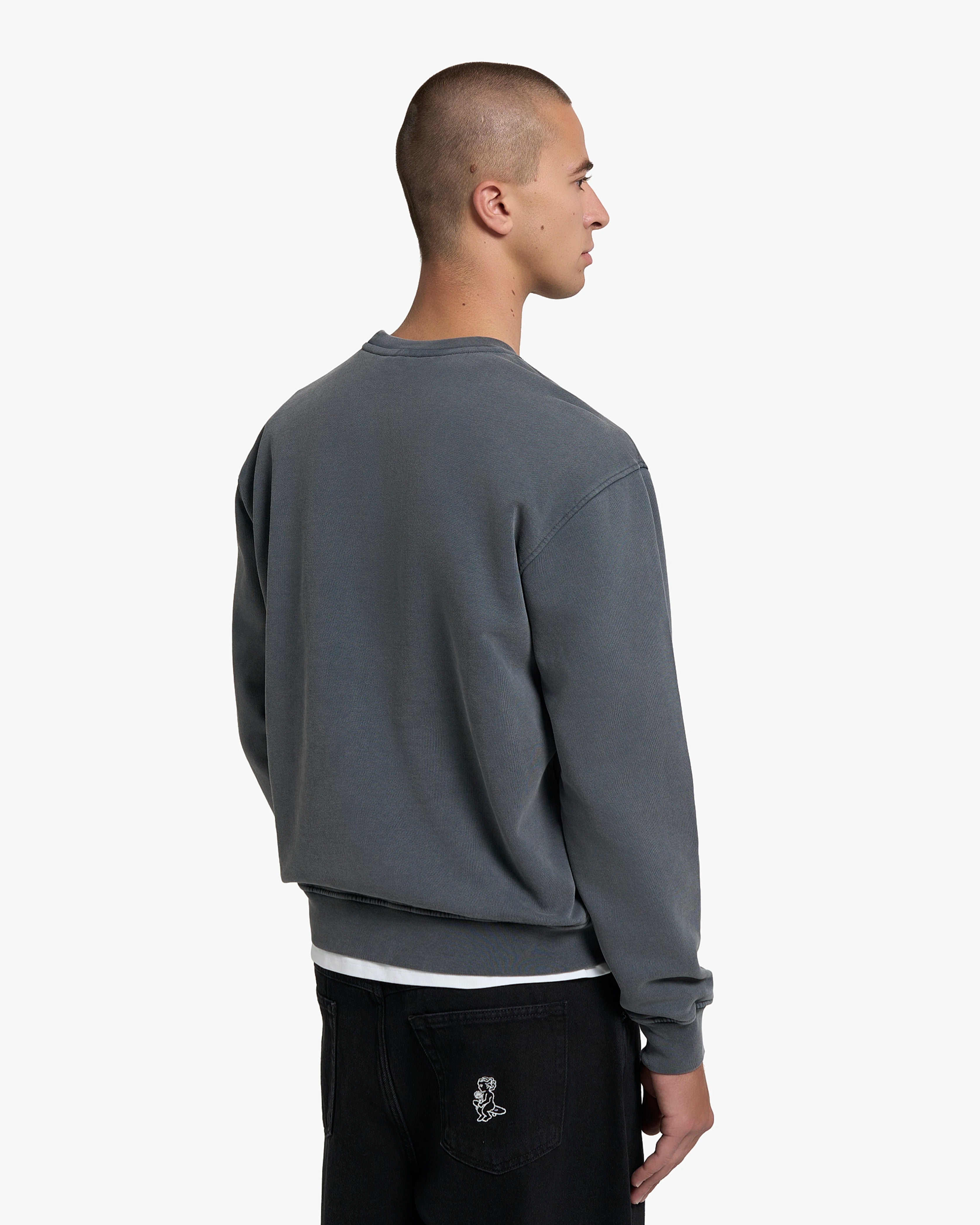 Big Ikon Crewneck