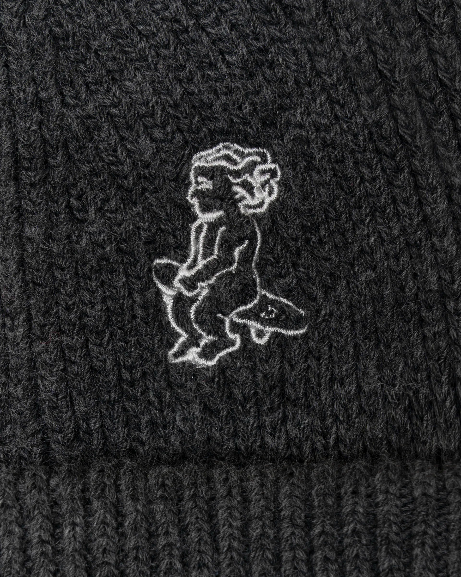 Ikon Beanie