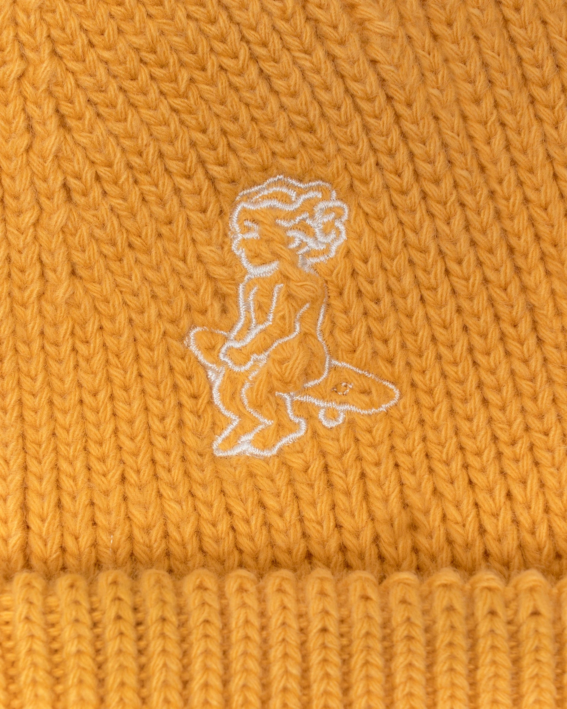 Ikon Beanie