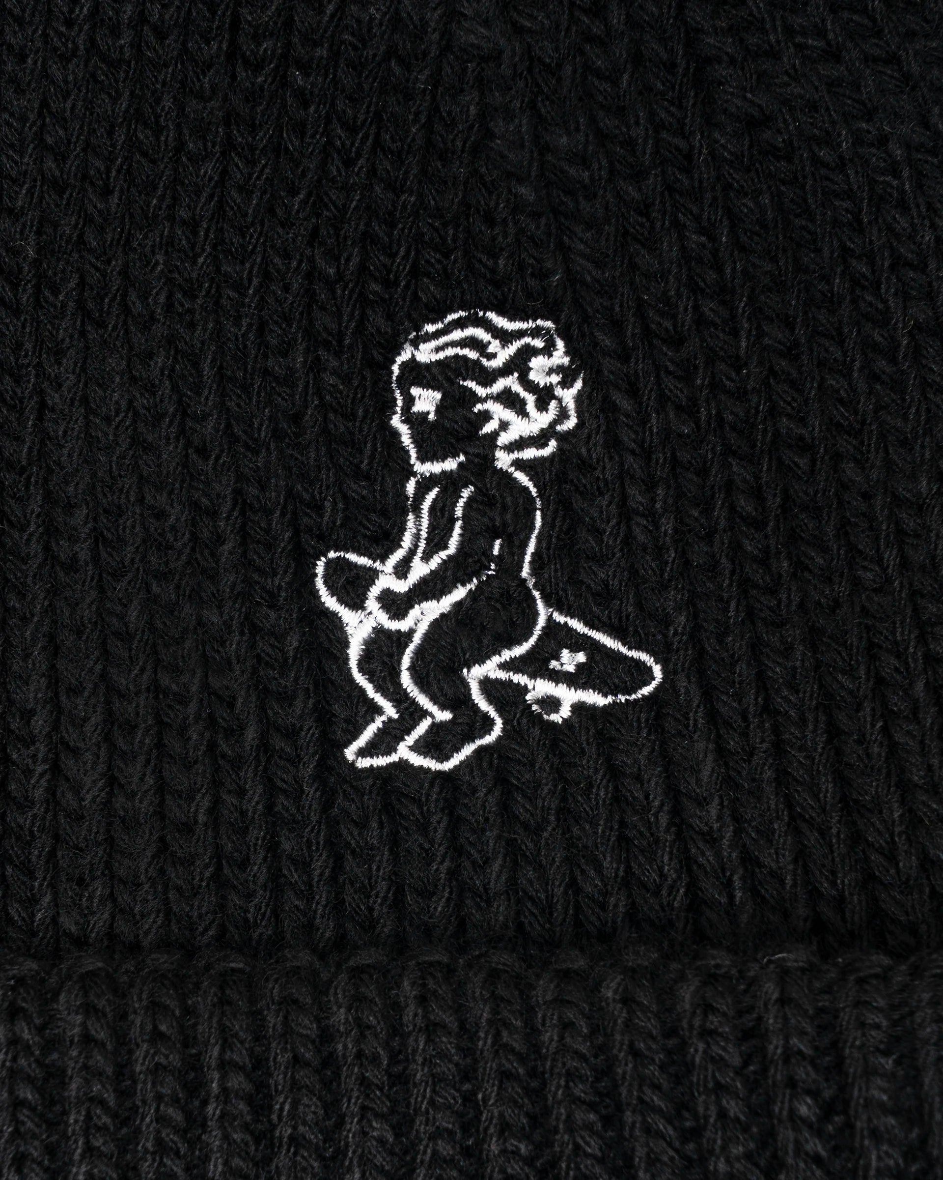 Ikon Beanie