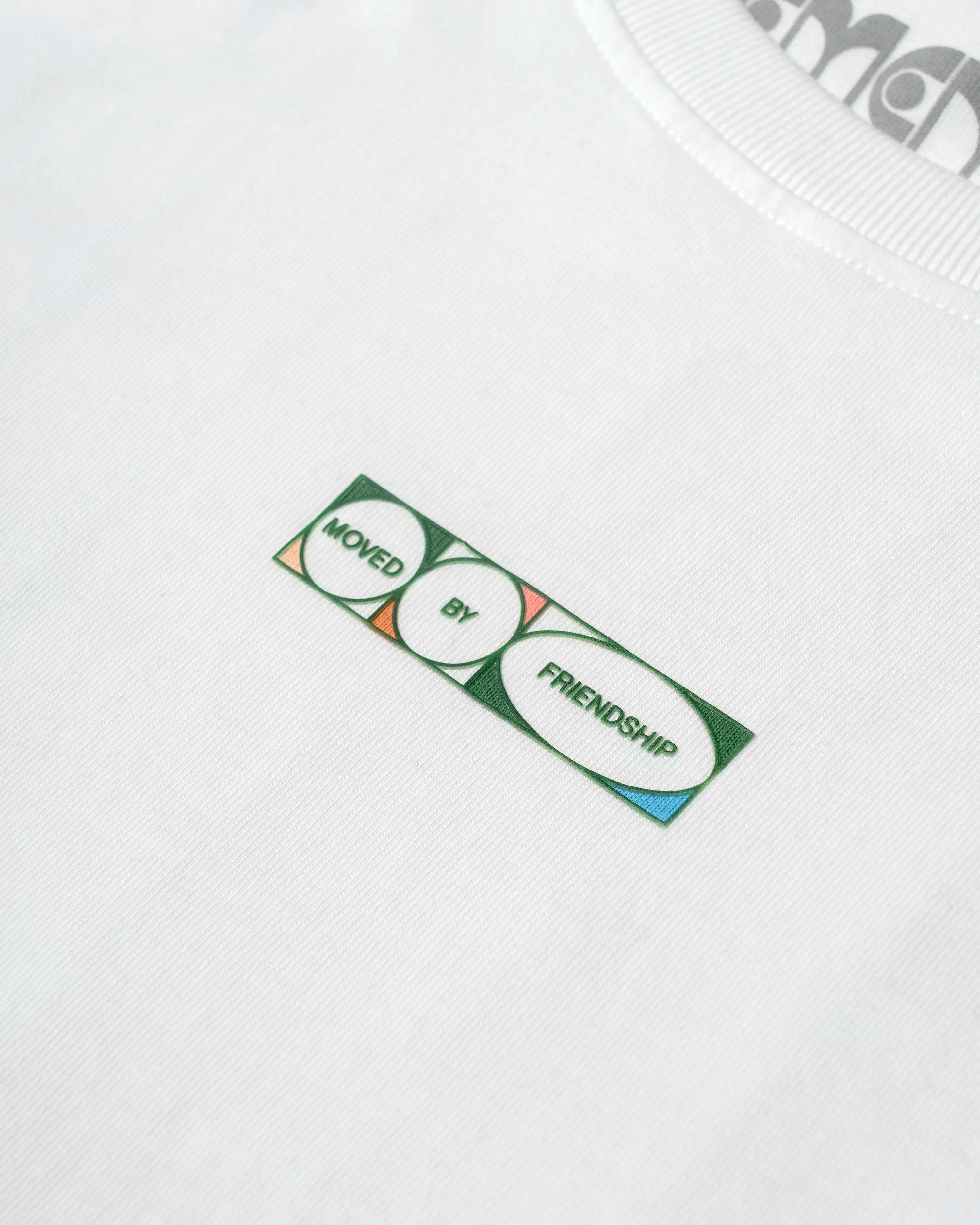 Lion T-Shirt