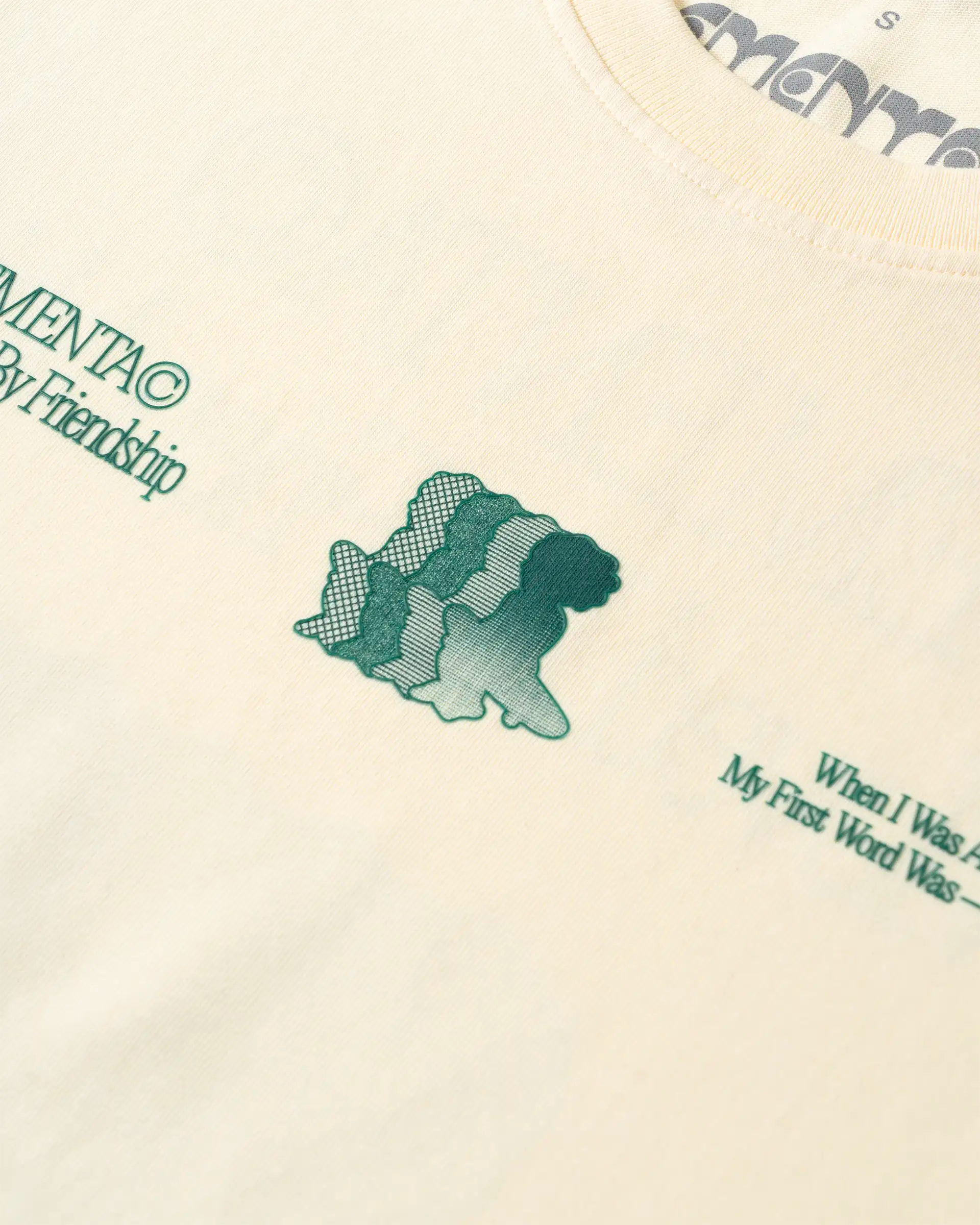 Friendship Canvas T-shirt