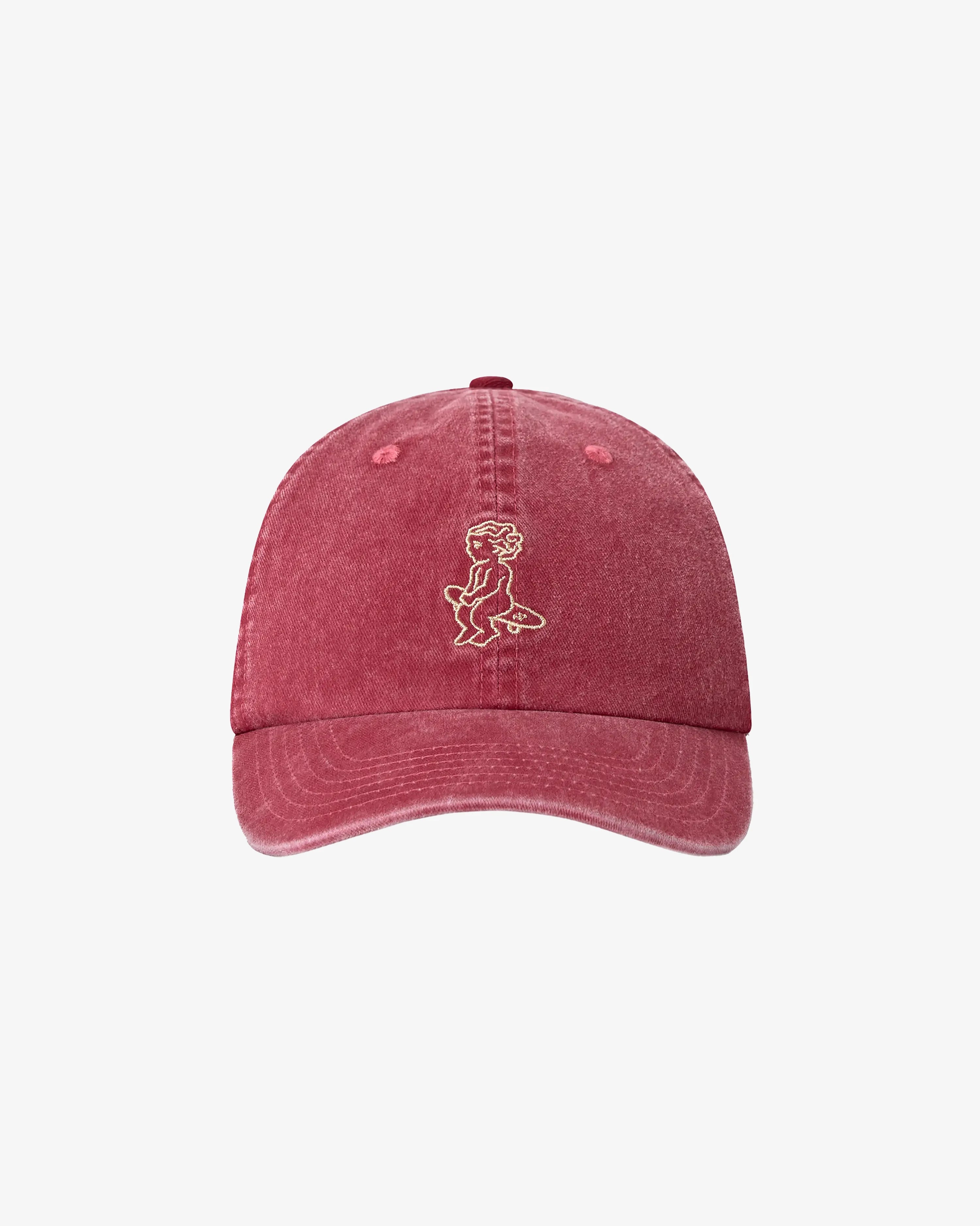 Ikon Washed Cap