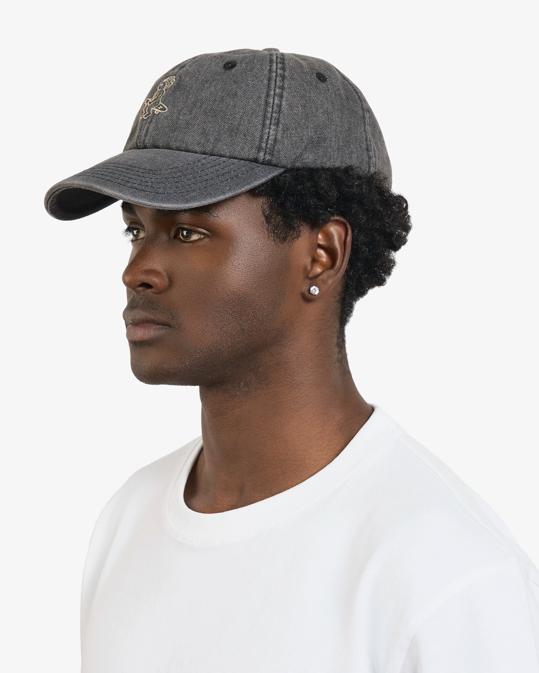 Ikon Washed Cap
