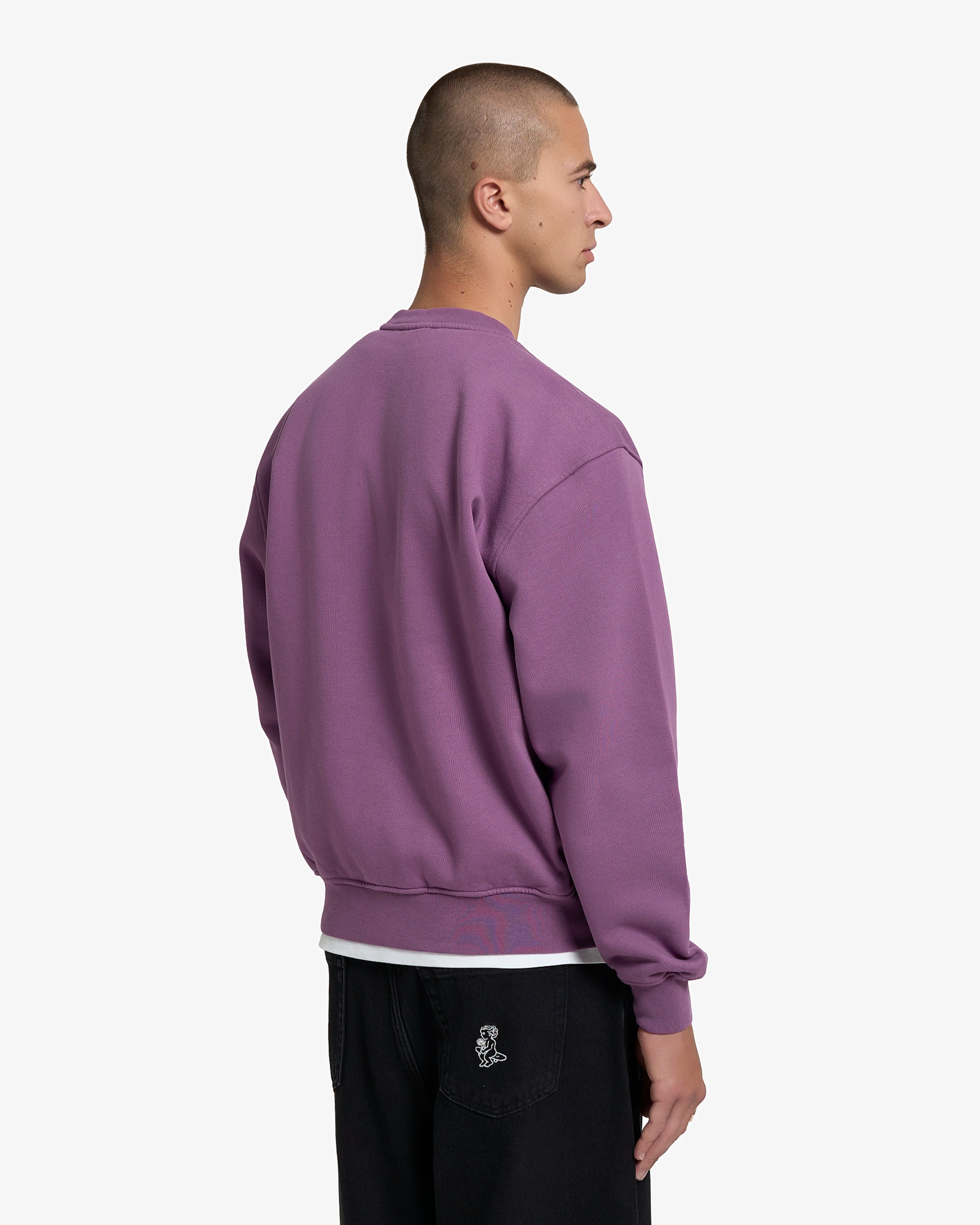 Big Ikon Crewneck