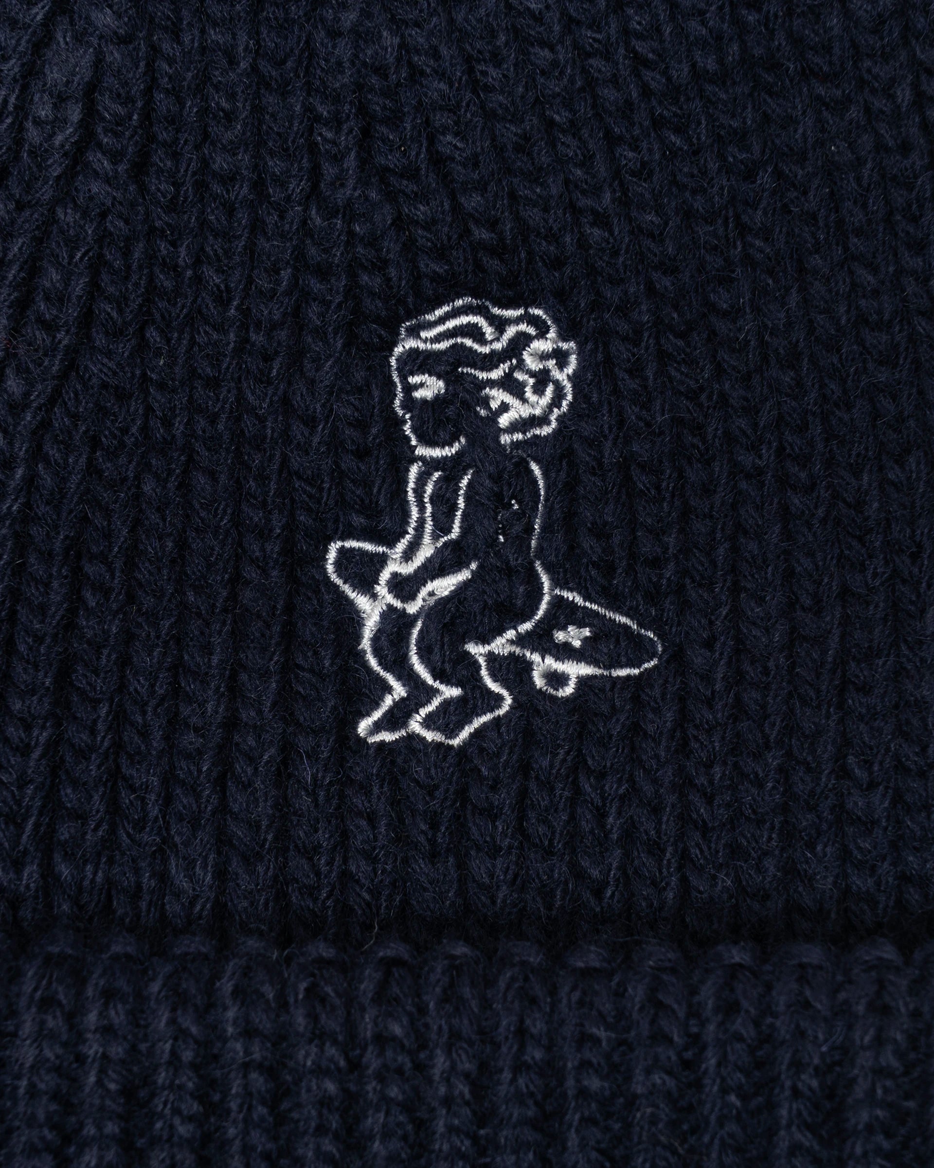 Ikon Beanie