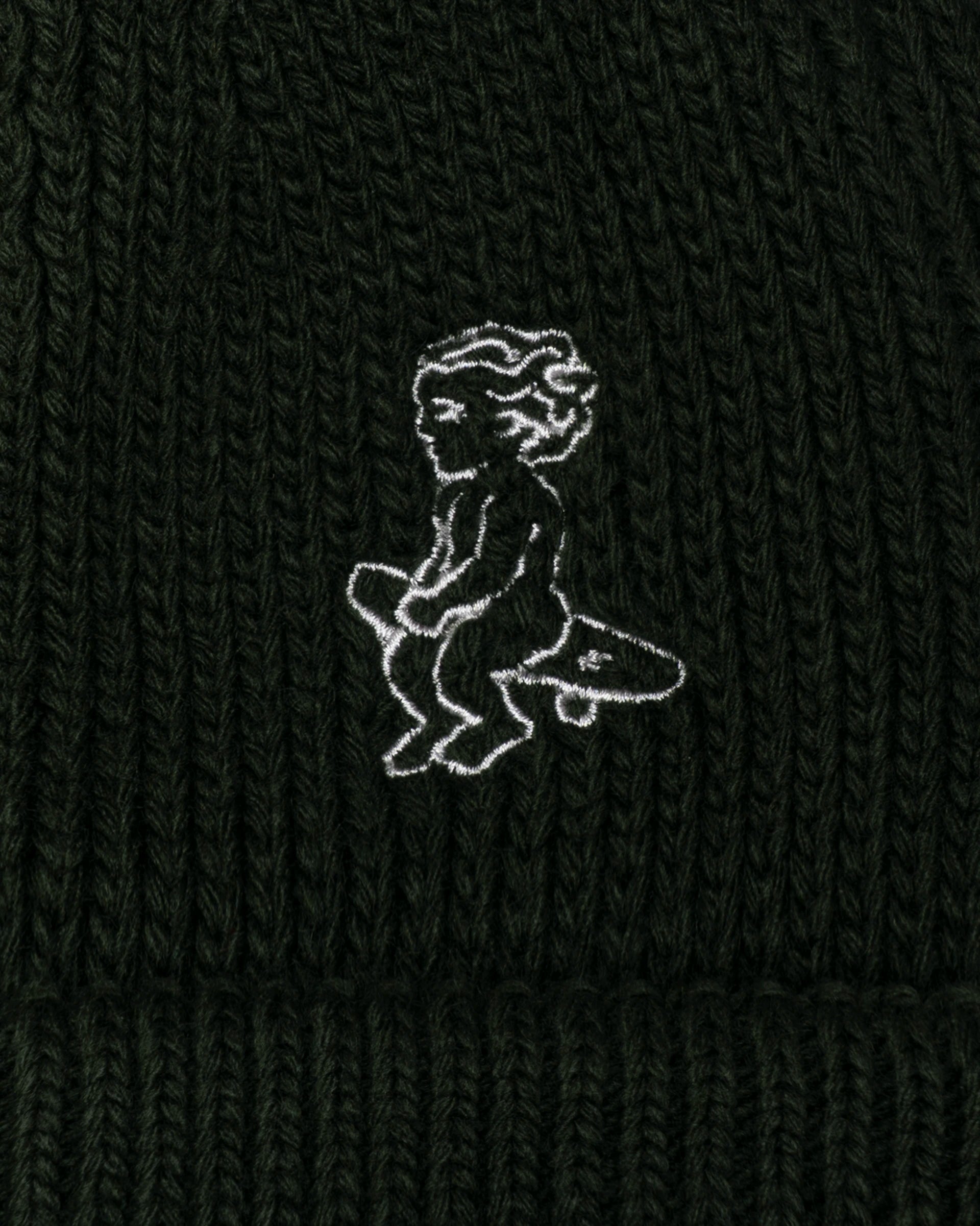 Ikon Beanie