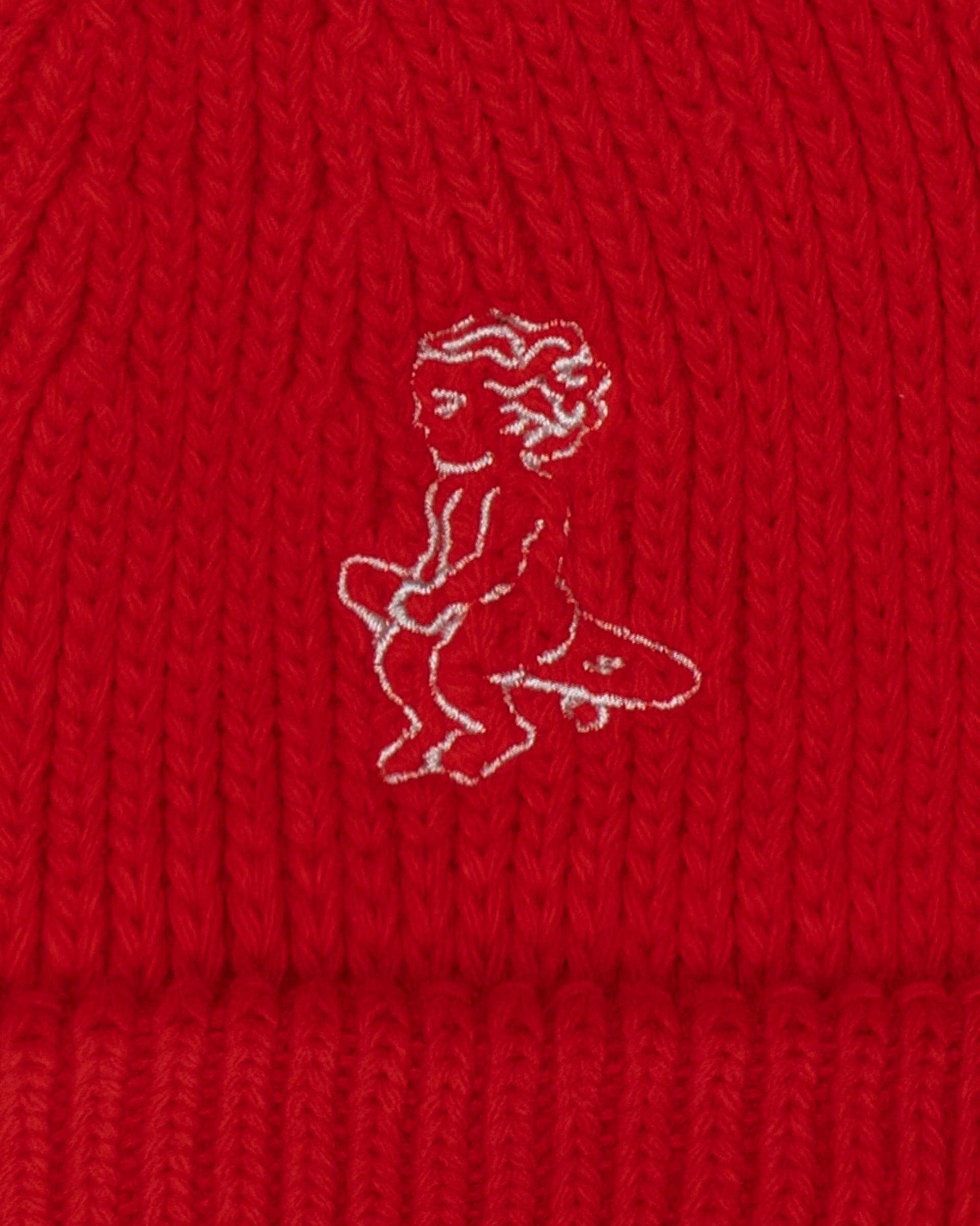 Ikon Beanie