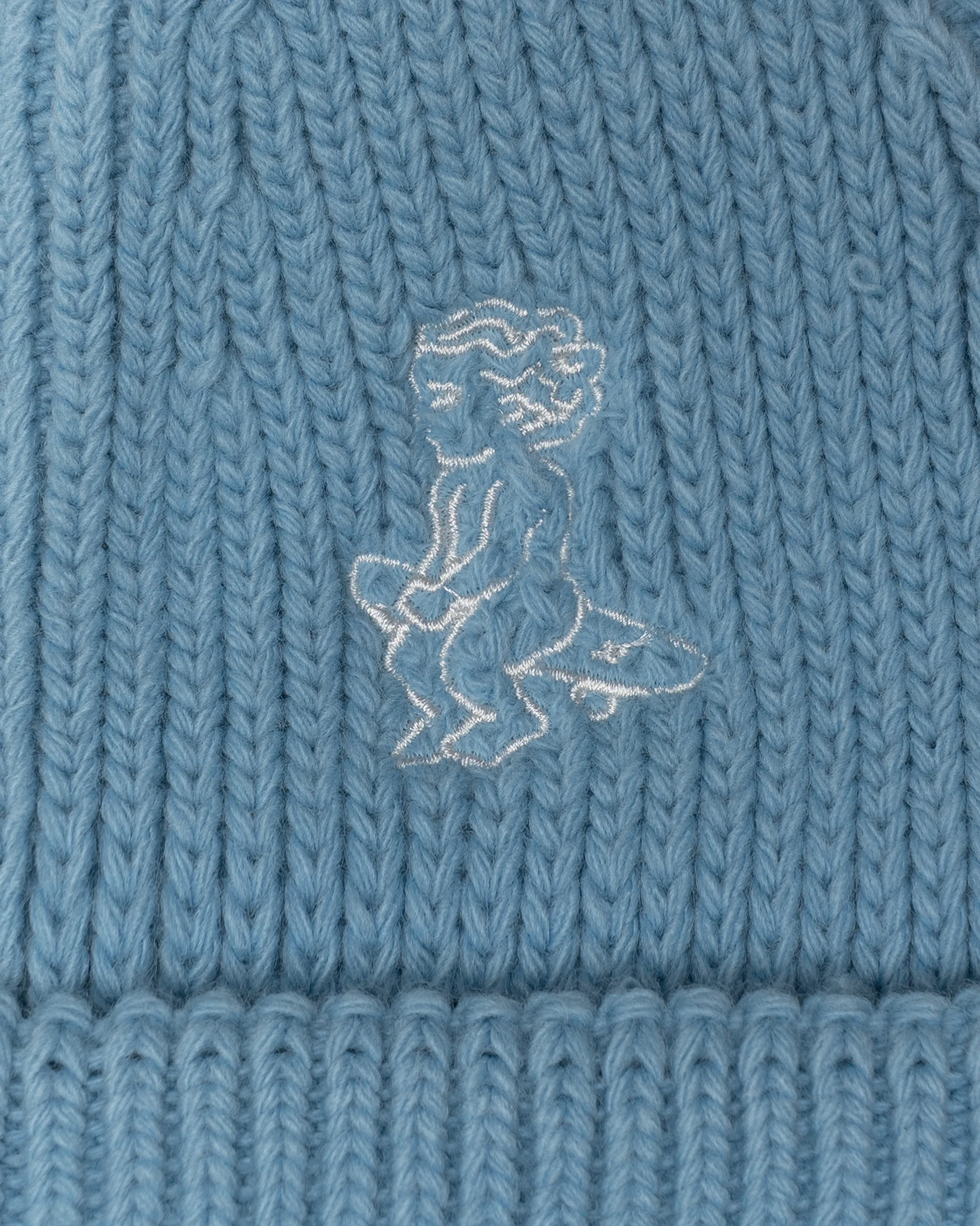 Ikon Beanie