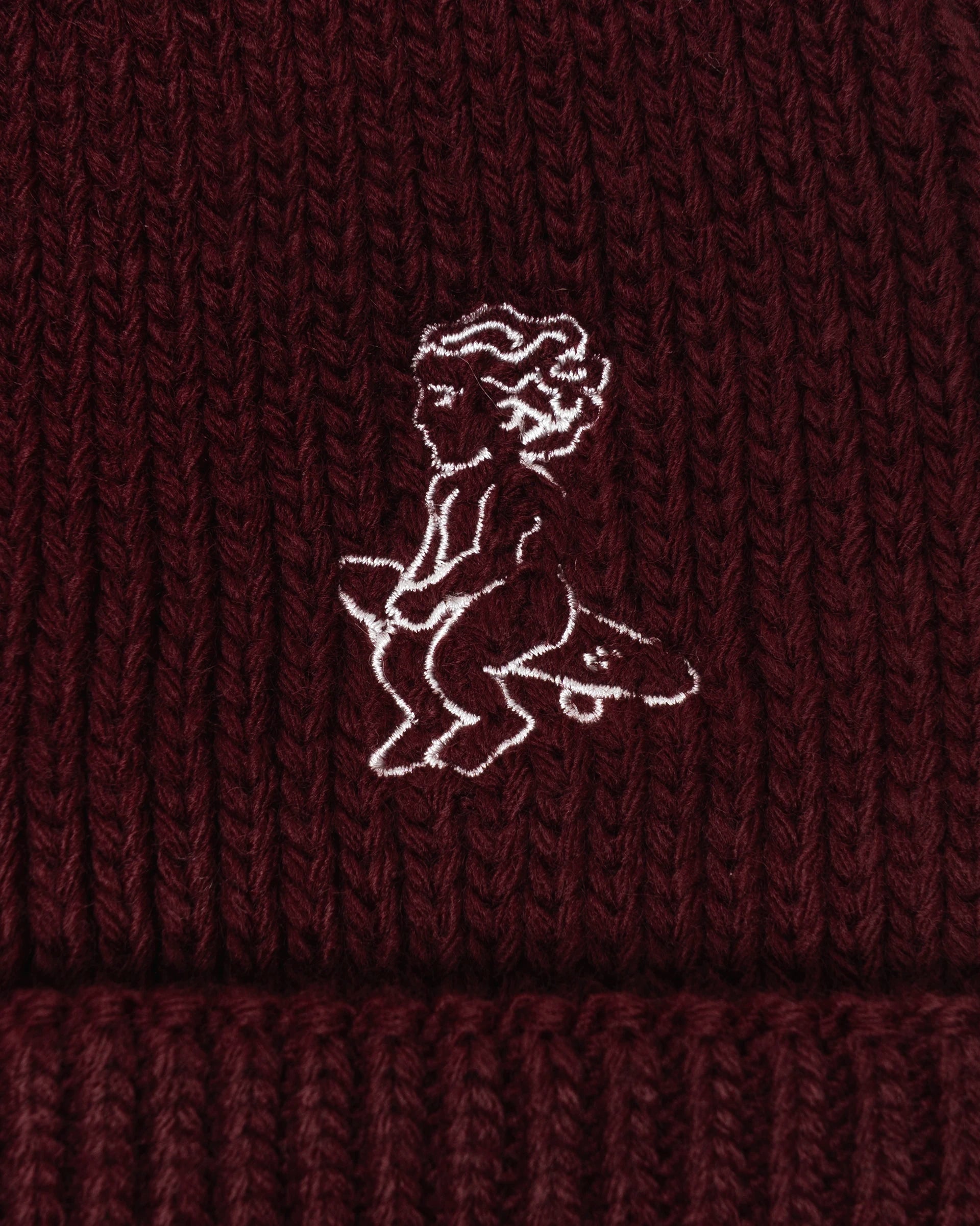 Ikon Beanie