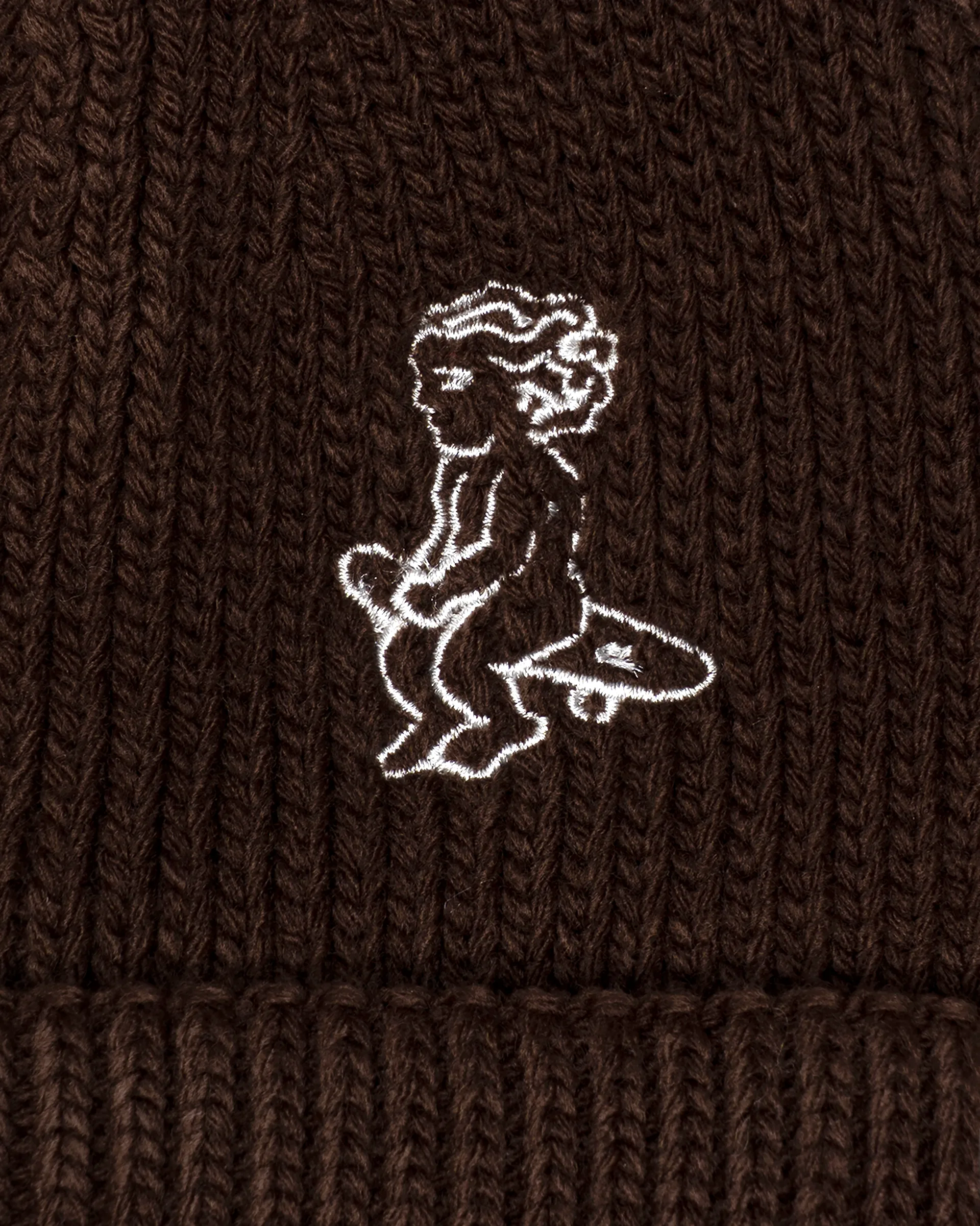 Ikon Beanie