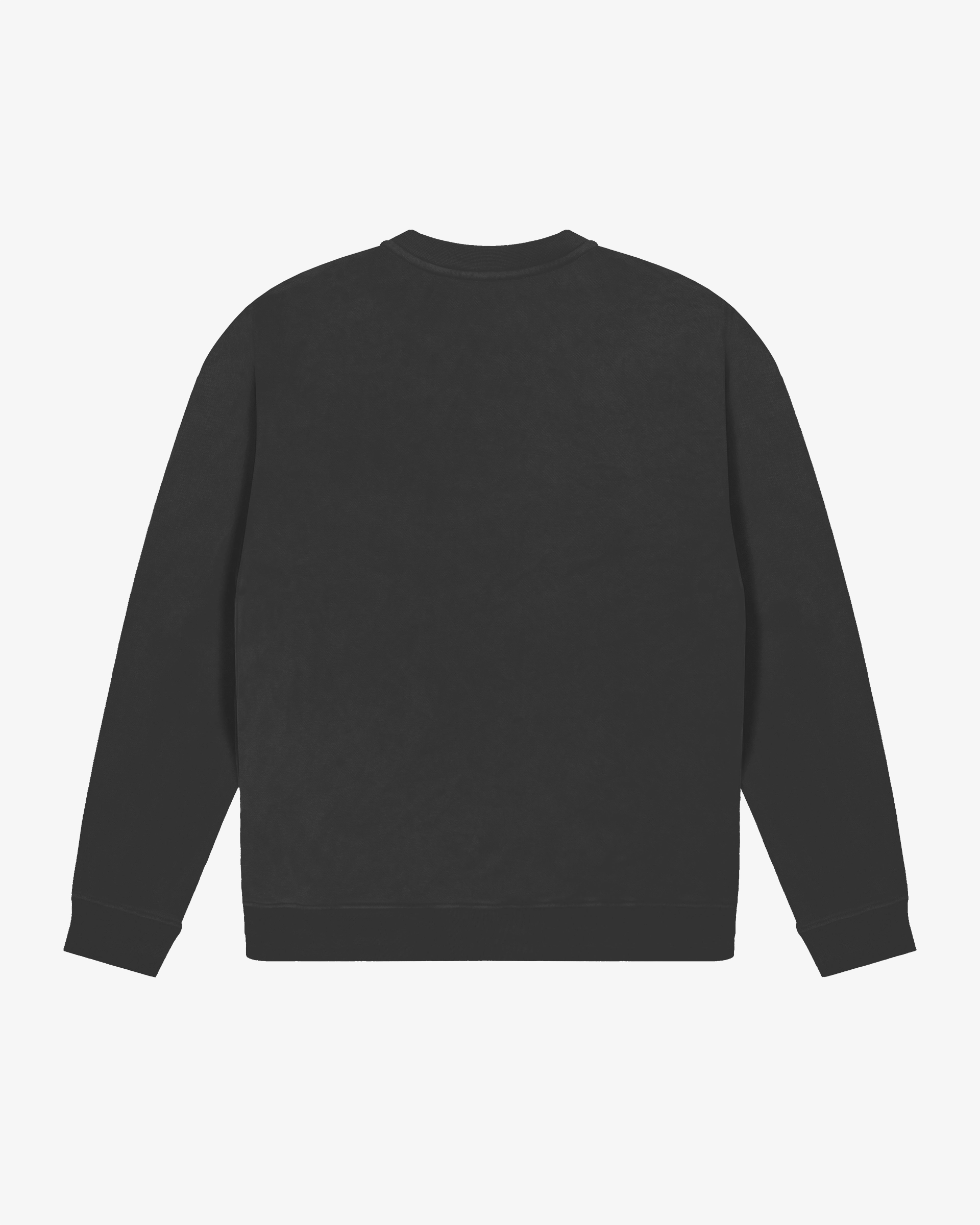 Big Ikon Crewneck