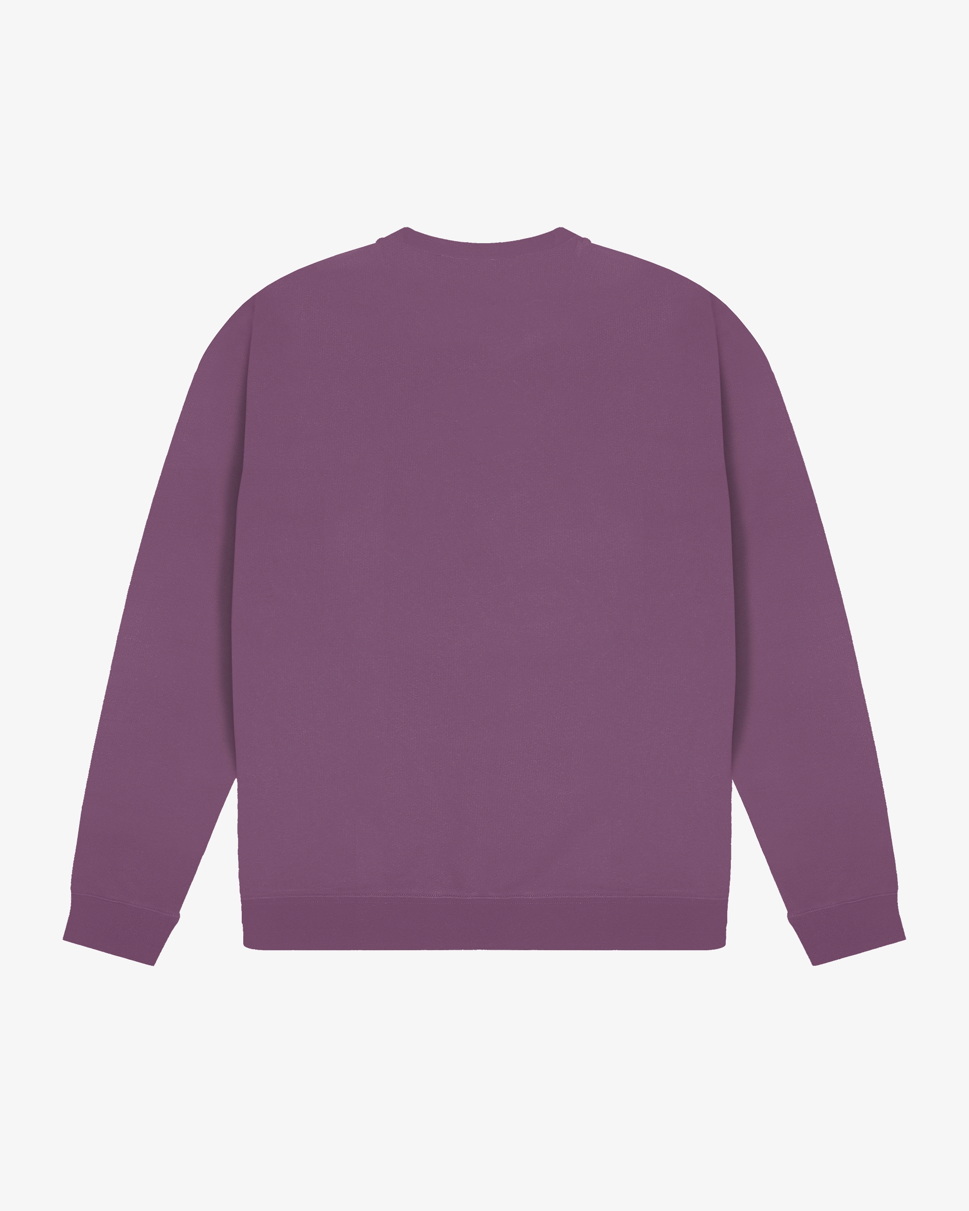 Big Ikon Crewneck