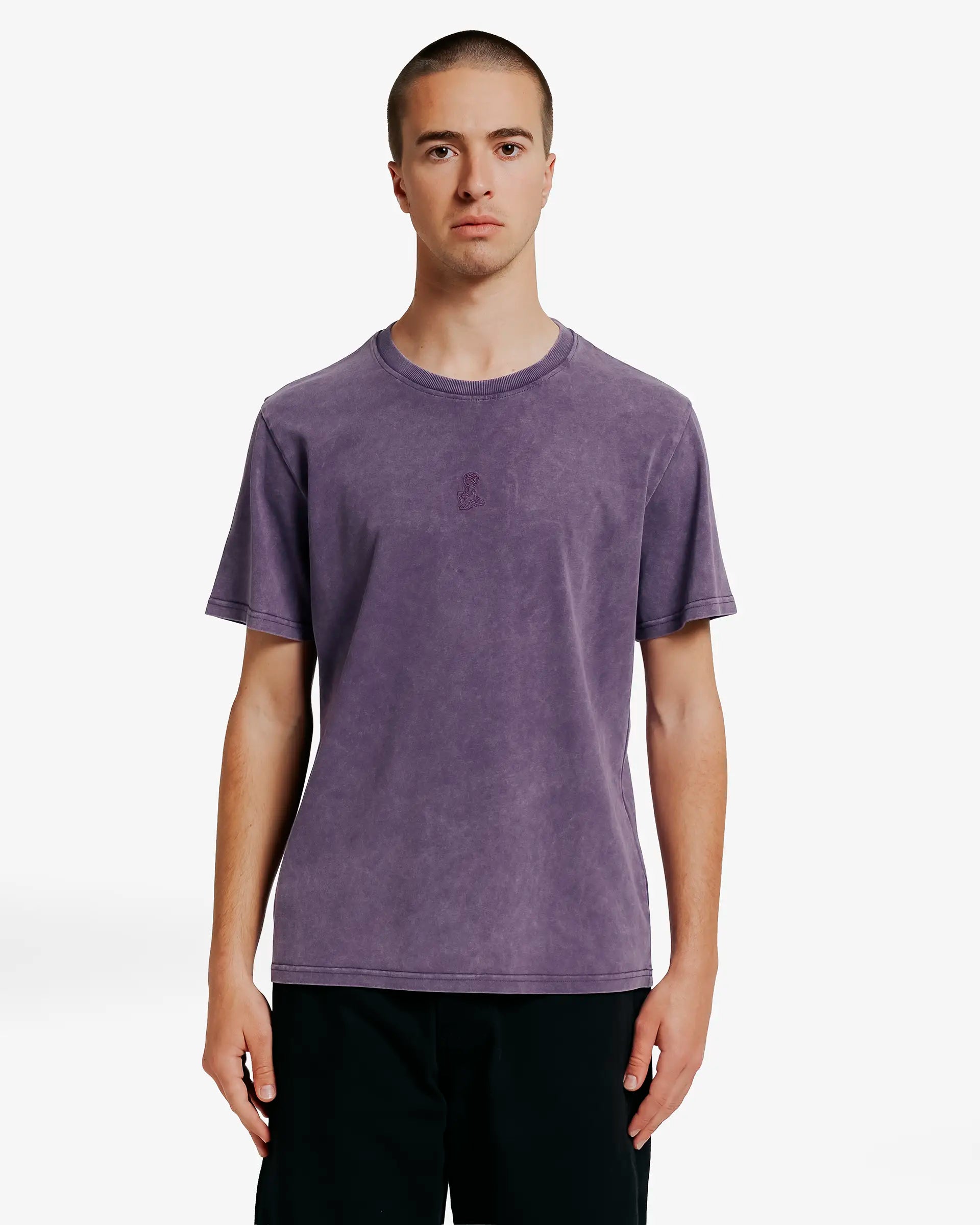 Big Ikon Washed T-Shirt